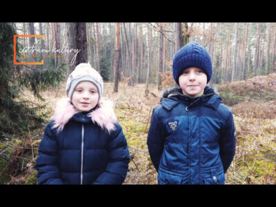 Światowy Dzień lasu - dzieci w lesie